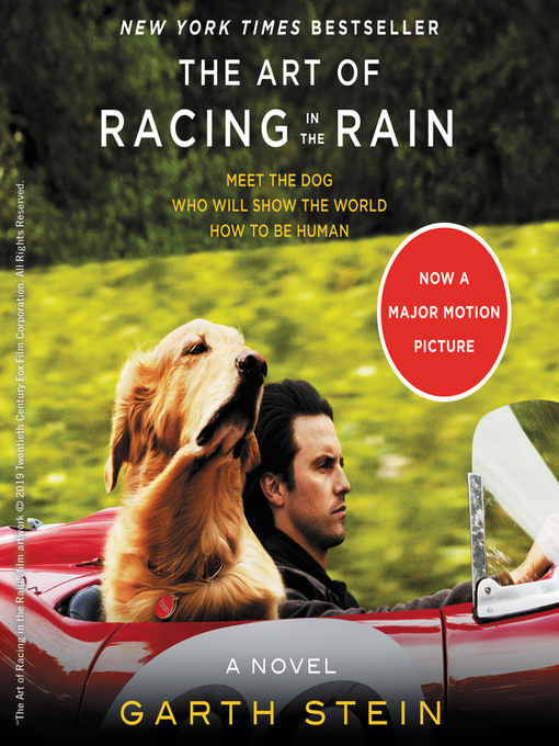 The Art of Racing in the Rain Thumbnail